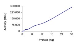 Sino Biological&nbsp;Recombinant Human MEK3/MAP2K3 Protein (Full Length, GST Tag), Active